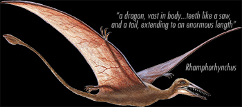 Dragon_Rhamphorhynchus