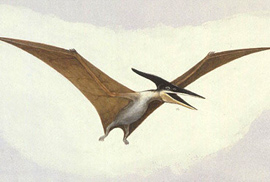 Dragon_Pteranodon Dragon_Pteranodon