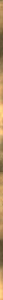 Bible1-Bar