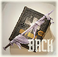 Bible-Sword-Back