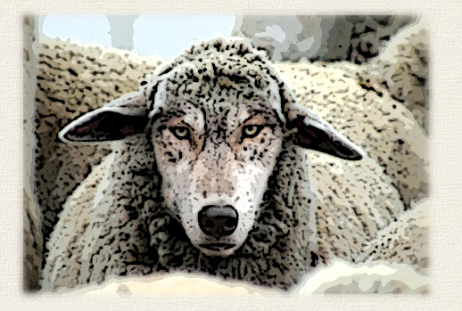 Wolf-Sheeps-Clothing